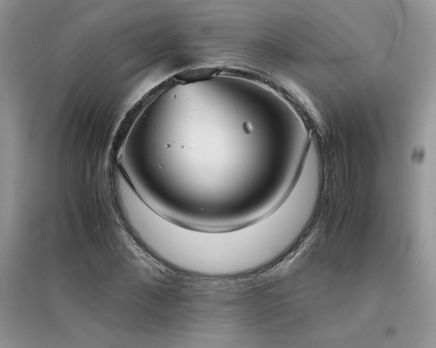 X0000094970876200711291501
