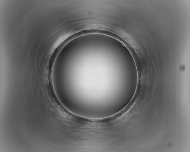X0000094970877200711291501