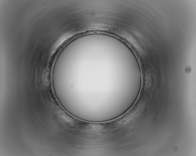 X0000094970878200711291501