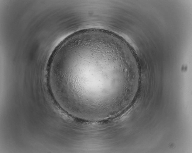 X0000094970879200711291501
