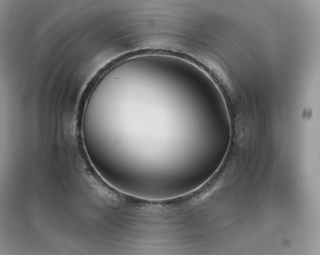 X0000094970880200711291501
