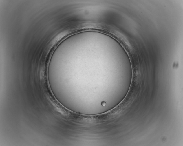 X0000094970882200711291501