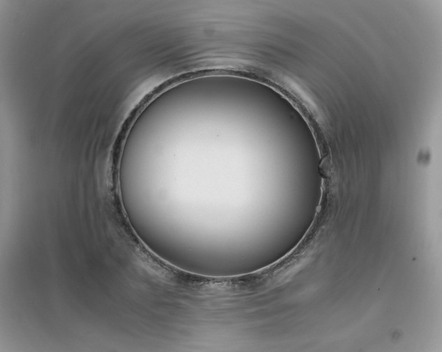 X0000094970883200711291501