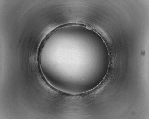 X0000094970884200711291501