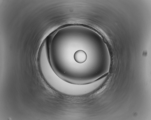 X0000094970885200711291501