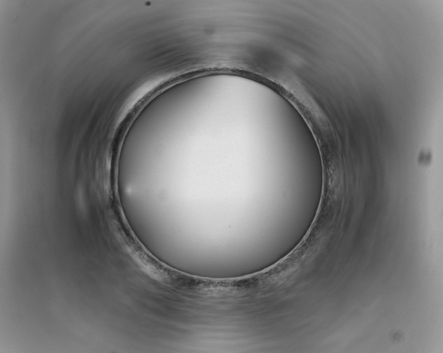 X0000094970886200711291501
