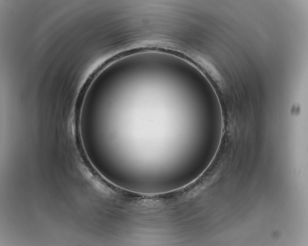 X0000094970888200711291501