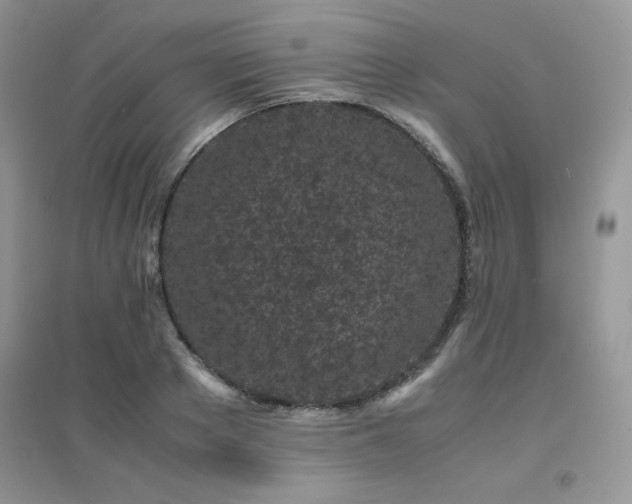 X0000094970889200711291501