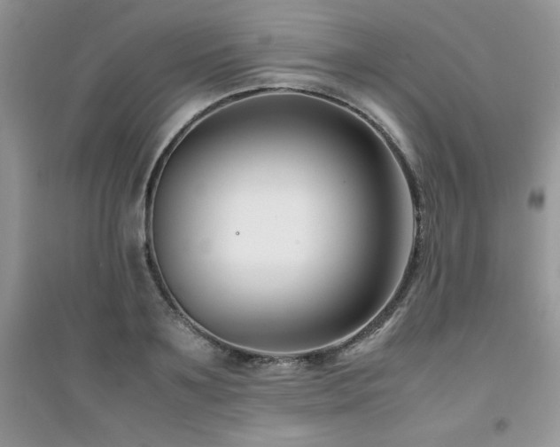 X0000094970891200711291501