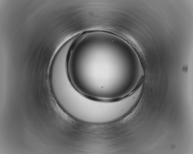 X0000094970892200711291501