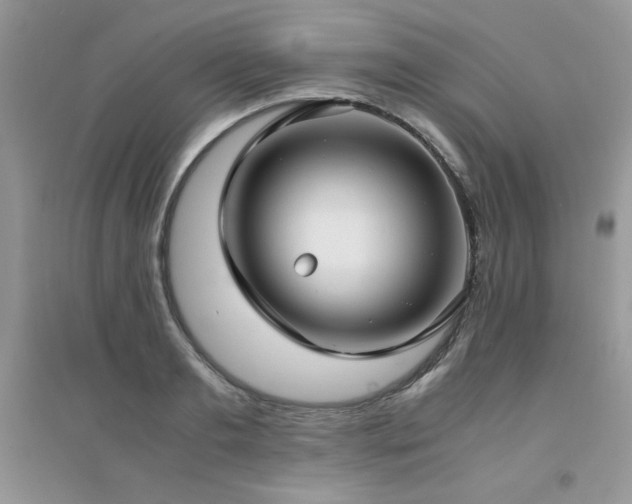 X0000094970893200711291501