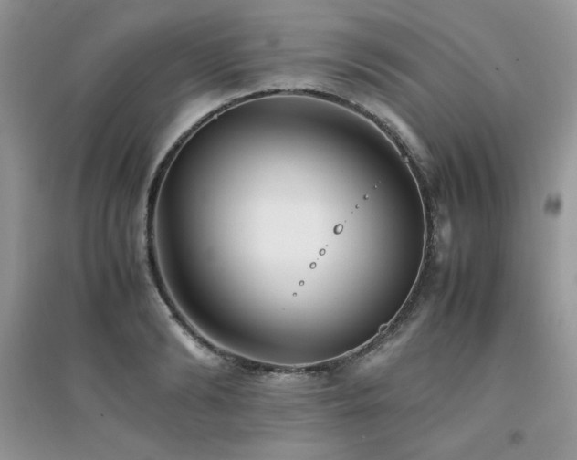 X0000094970894200711291501