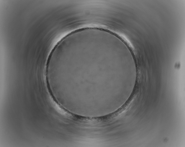 X0000094970895200711291501