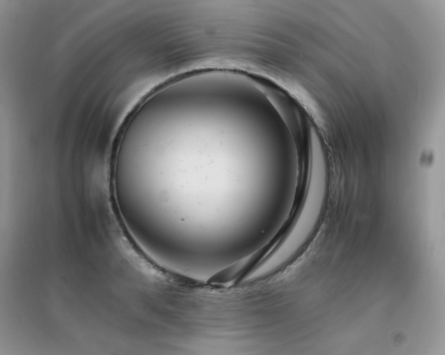 X0000094970896200711291501