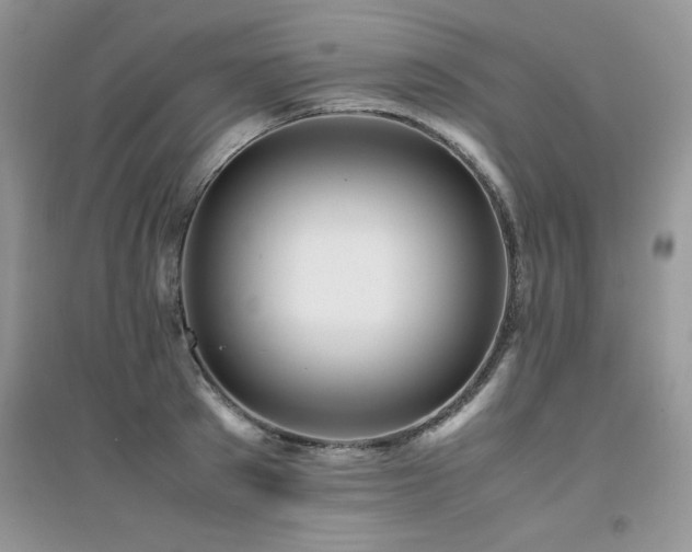 X0000094970897200711291501