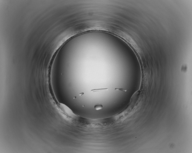 X0000094970898200711291501
