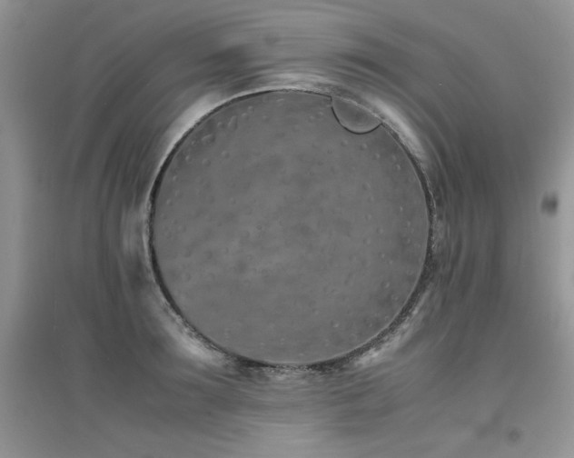 X0000094970899200711291501