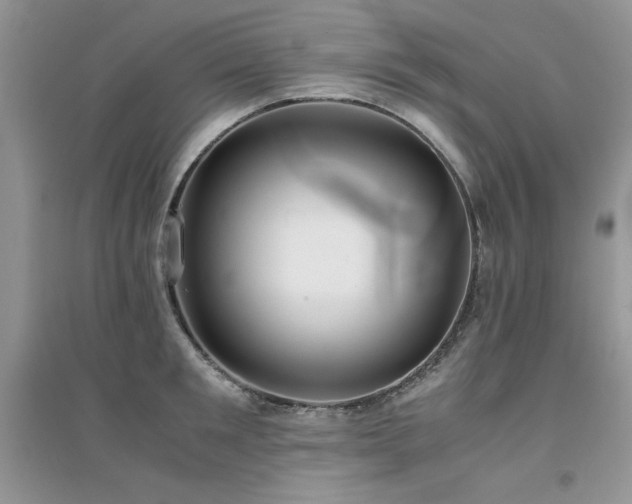 X0000094970901200711291501