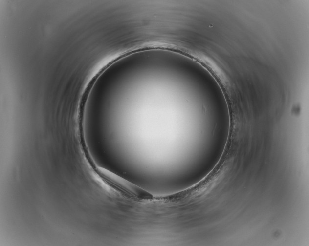 X0000094970902200711291501
