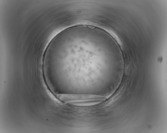 X0000094970903200711291501