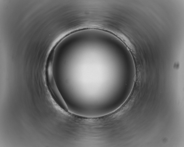 X0000094970904200711291501