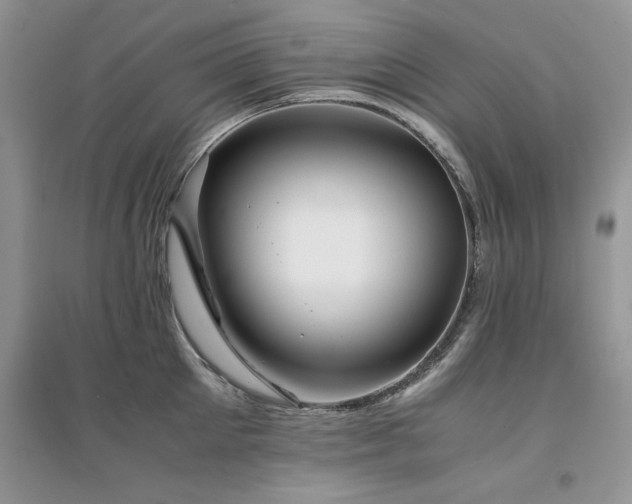 X0000094970905200711291501