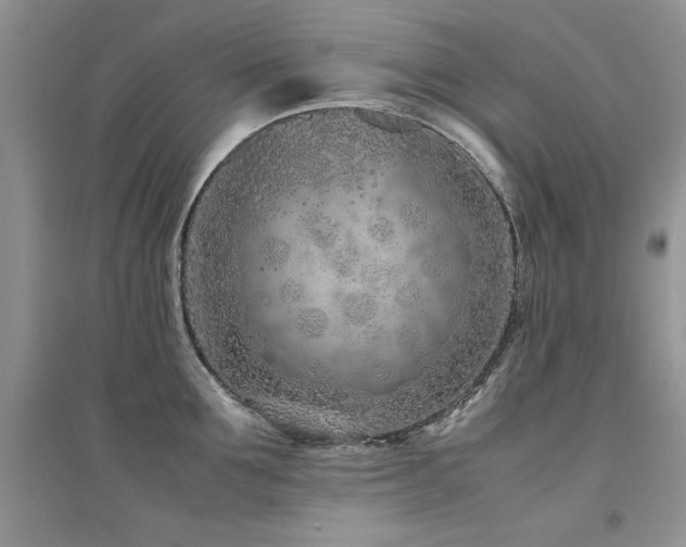 X0000094970907200711291501