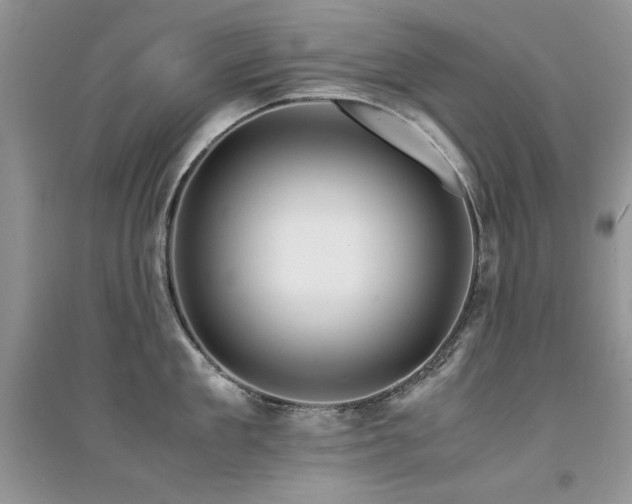 X0000094970909200711291500