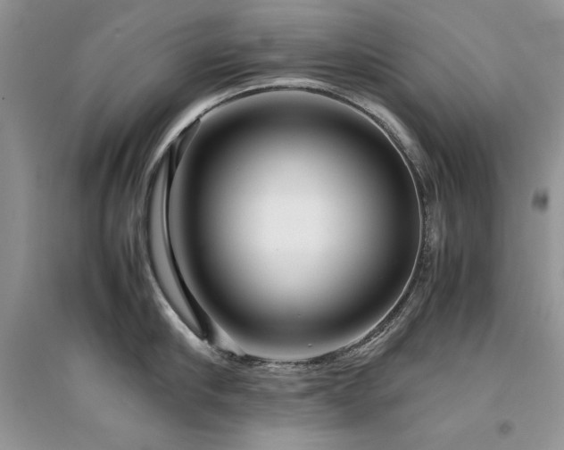 X0000094970910200711291500
