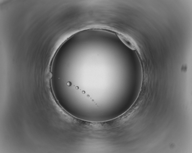 X0000094970911200711291500
