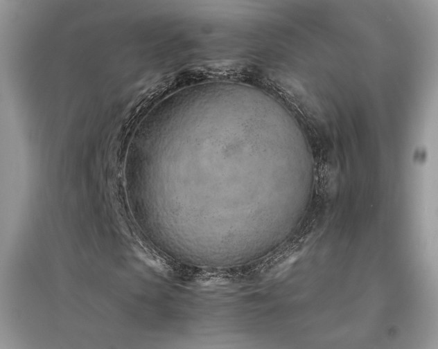 X0000094970913200711291500
