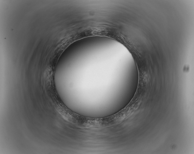 X0000094970914200711291500