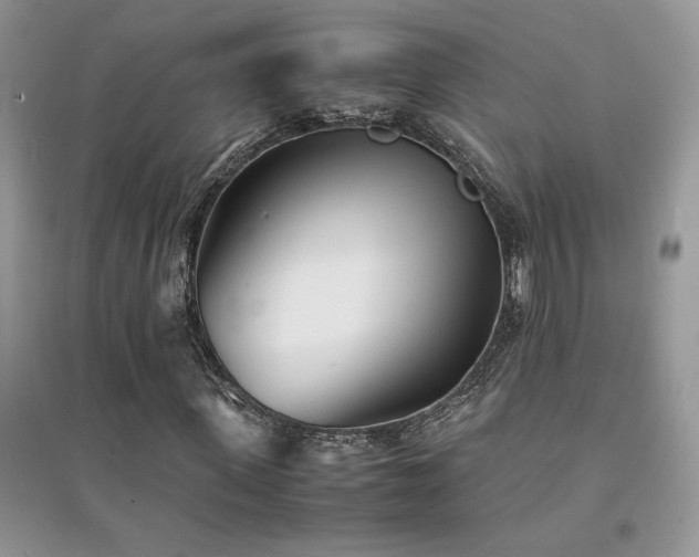 X0000094970915200711291500