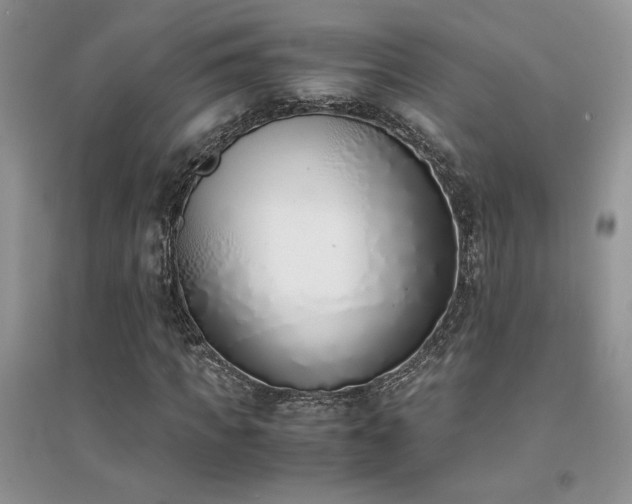 X0000094970917200711291500