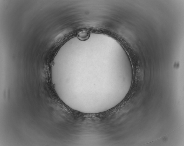 X0000094970918200711291500