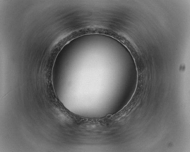 X0000094970919200711291500