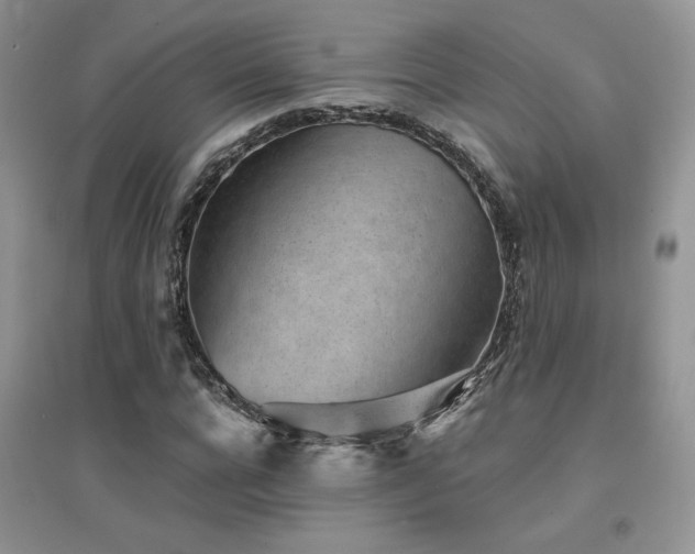 X0000094970920200711291500