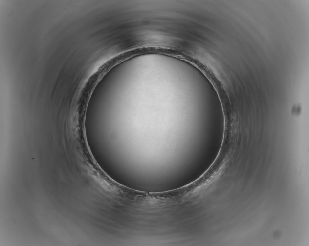 X0000094970923200711291500