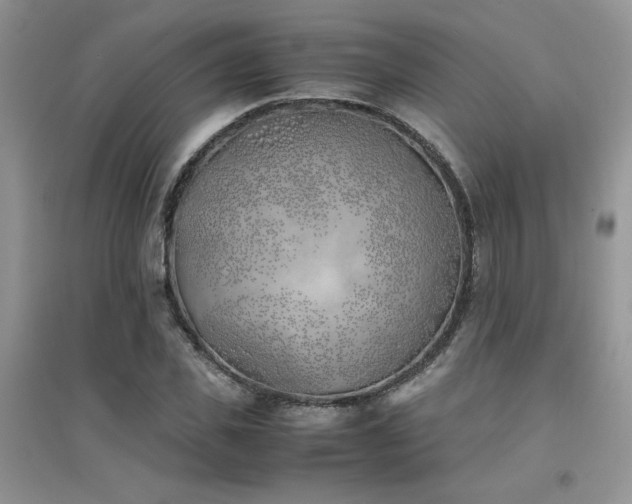 X0000094970925200711291500