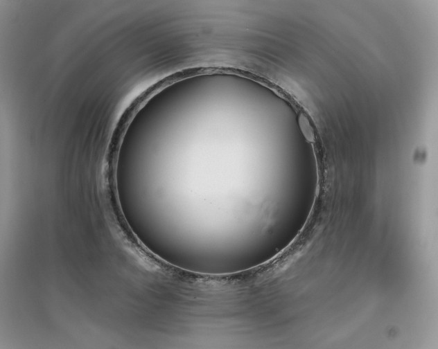 X0000094970928200711291500