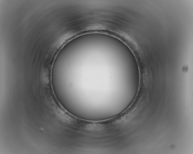 X0000094970929200711291500