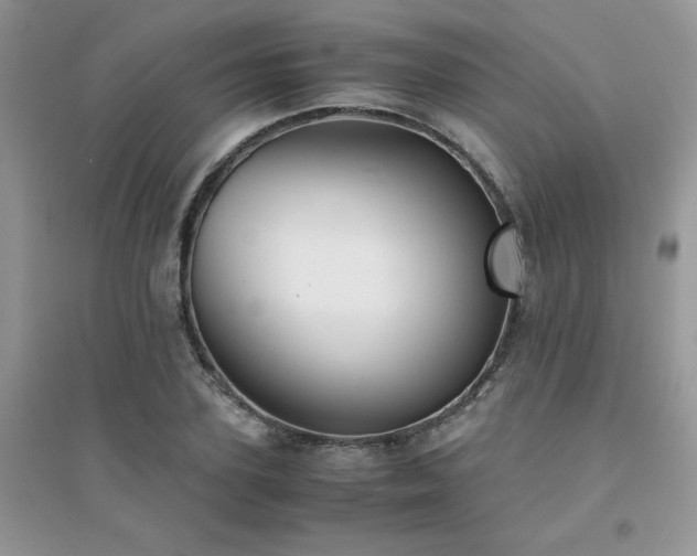 X0000094970931200711291500