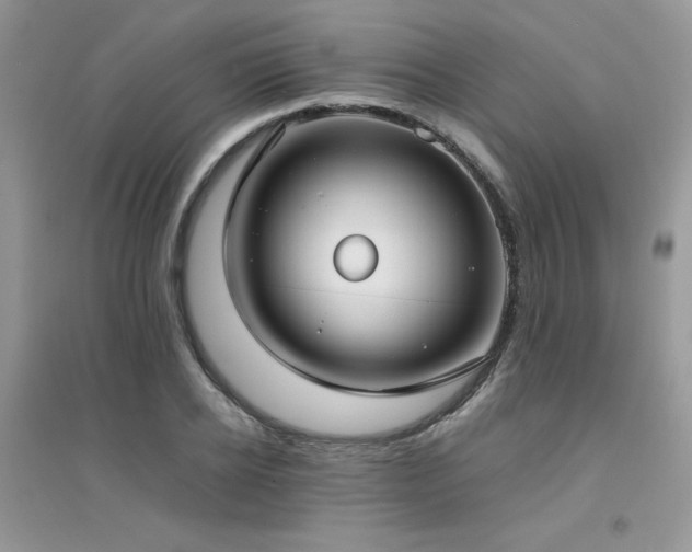 X0000094970934200711291500