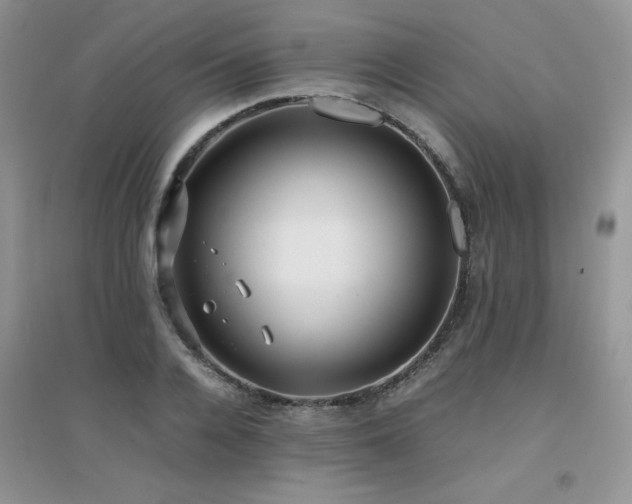 X0000094970936200711291500
