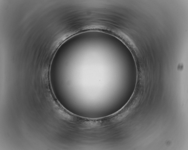 X0000094970937200711291500