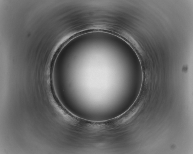 X0000094970939200711291500