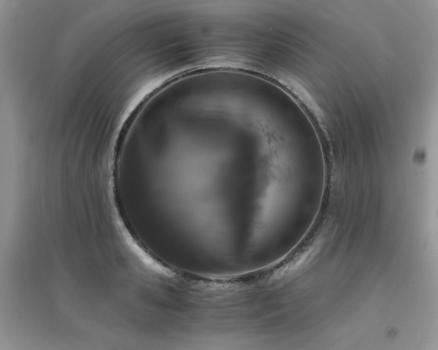 X0000094970941200711291500