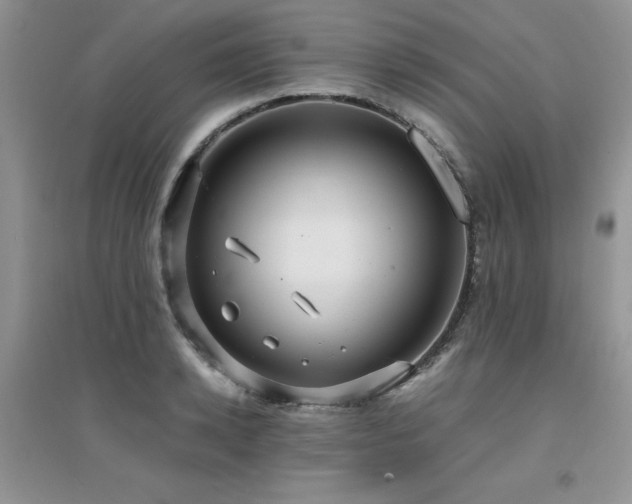 X0000094970942200711291500