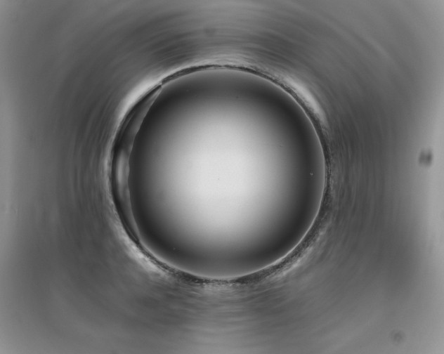 X0000094970944200711291500