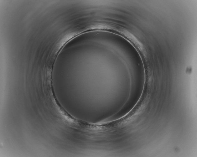 X0000094970945200711291500